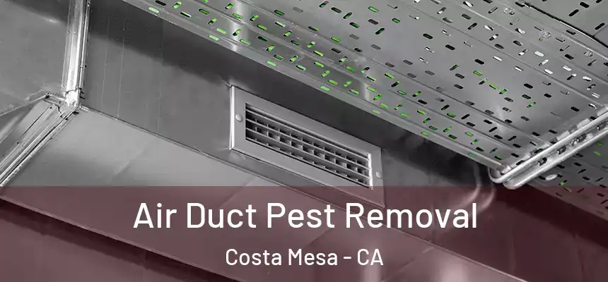 Air Duct Pest Removal Costa Mesa - CA