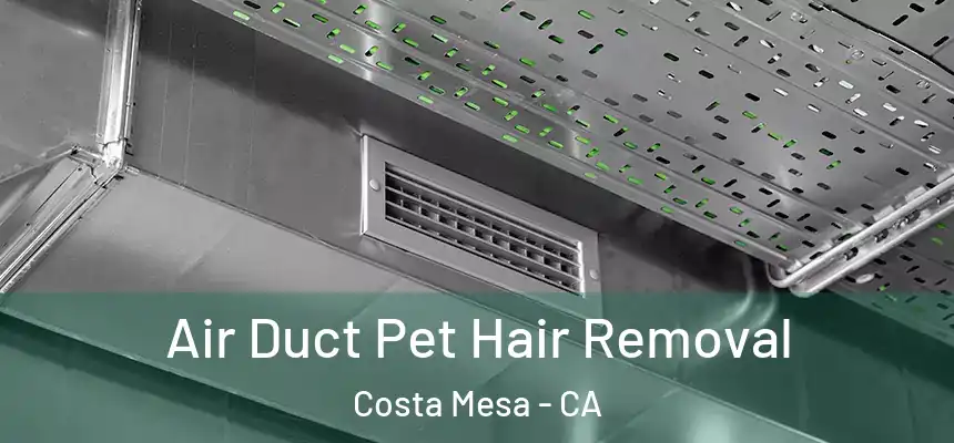  Air Duct Pet Hair Removal Costa Mesa - CA