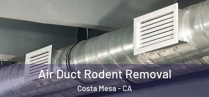 Air Duct Rodent Removal Costa Mesa - CA