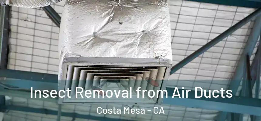  Insect Removal from Air Ducts Costa Mesa - CA