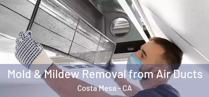 Mold & Mildew Removal from Air Ducts Costa Mesa - CA