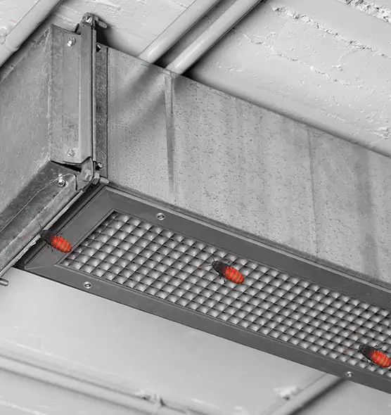Affordable Insect Removal from Air Ducts in Costa Mesa, CA