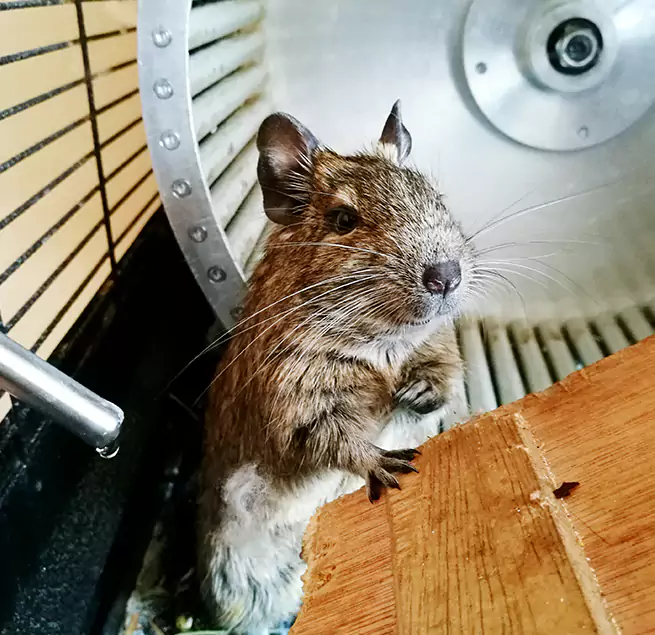 Why Homeowners & Businesses Trust Us Costa Mesa, CA?