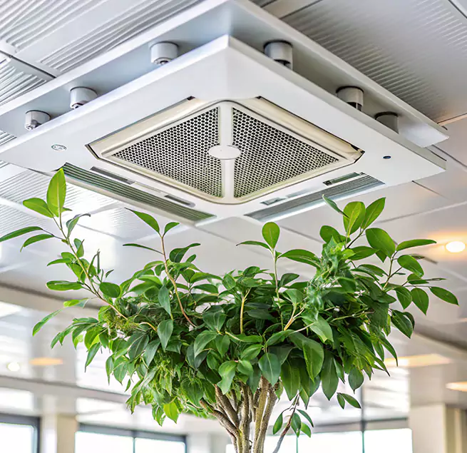 Why Homeowners & Businesses Trust Us in Costa Mesa, CA?